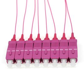 A trança da fibra ótica do SC OM4/PC, os cabos de 1 ligação em ponte 12 da fibra de M colore 0.9mm