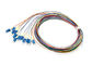 SC da trança da fibra ótica da cor 1m de LSZH 12/E2000/fibra ótica de FC/ST cauda