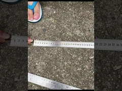 CPRI Bbu Odc-Dlc Cpri Fibra Óptica Cordão de Parche Impermeável Com Cobertura de Pó Selada