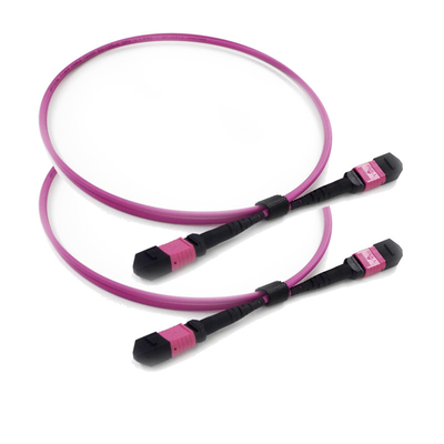 comprar 12 Cabos de fibra MTP com comprimento de onda de 1310/1550 nm e perda de inserção ≤ 0,25 dB para Data Center online manufacture