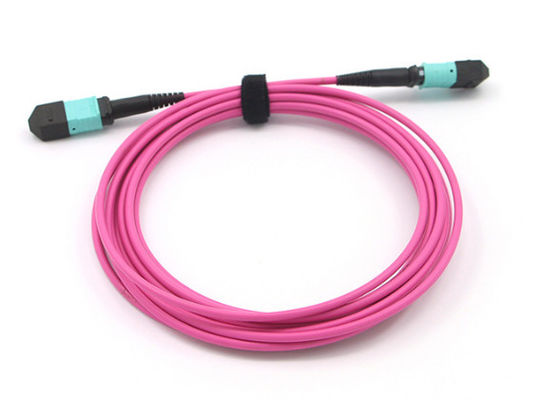 comprar MPO MTP Cable 12 Fiber Core OM4 Magenta MPO Trunk Cable para redes de alta velocidade online manufacture