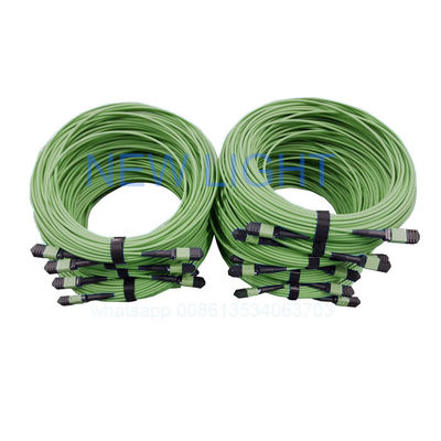 comprar Cabo OM4 MPO MTP de 12 Fibras com Comprimento Personalizado e Conector de Fibra MPO online manufacture