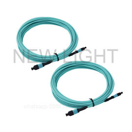comprar Consista tipicamente OM3/OM4 nos cabos multimodos, cabos do tronco de MTP/MPO online manufacture