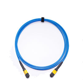 Baixo cabo de remendo material blindado 3meters da fibra ótica do núcleo MTP Mpo LSZH da perda de inserção 24